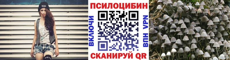 Галлюциногенные грибы Psilocybine cubensis мега tor Гаджиево